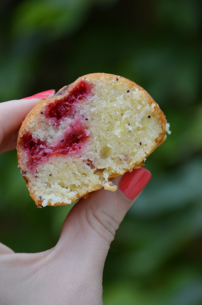 Cake citron, framboise et graines de pavot bleu - Plus une miette dans l'assiette